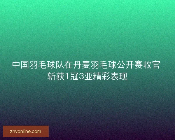 中国羽毛球队在丹麦羽毛球公开赛收官 斩获1冠3亚精彩表现